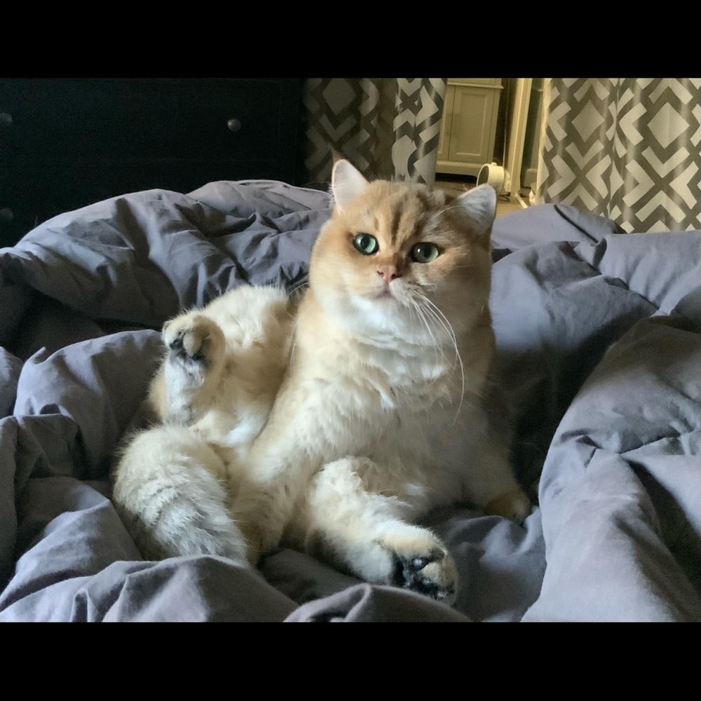 Meet your Posher, Audriana